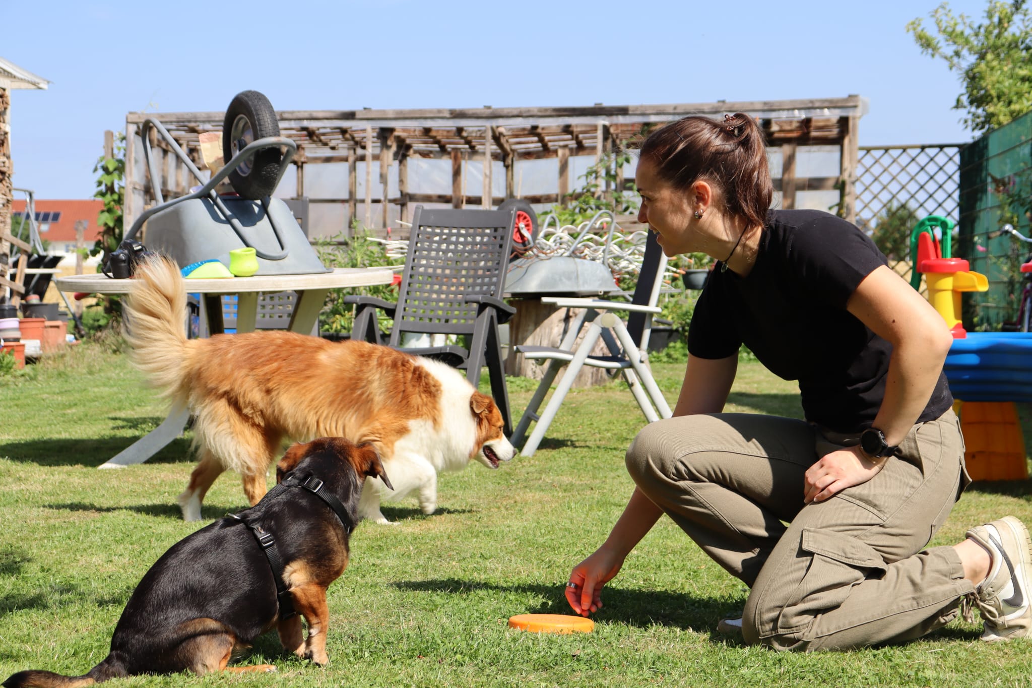 MoveMates Training mit Mensch und Hund